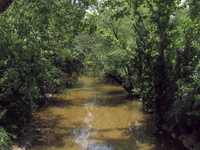 Worthington Creek Worthington Creek